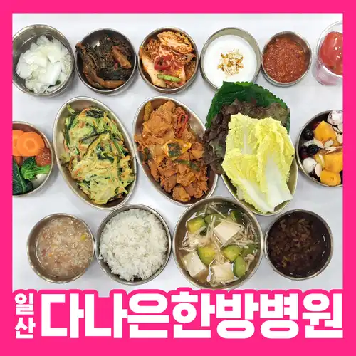 일산다나은한방병원 정성담은 식이